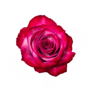 Deep Purple - Image 1