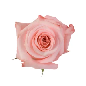 Be Sweet - Image 1