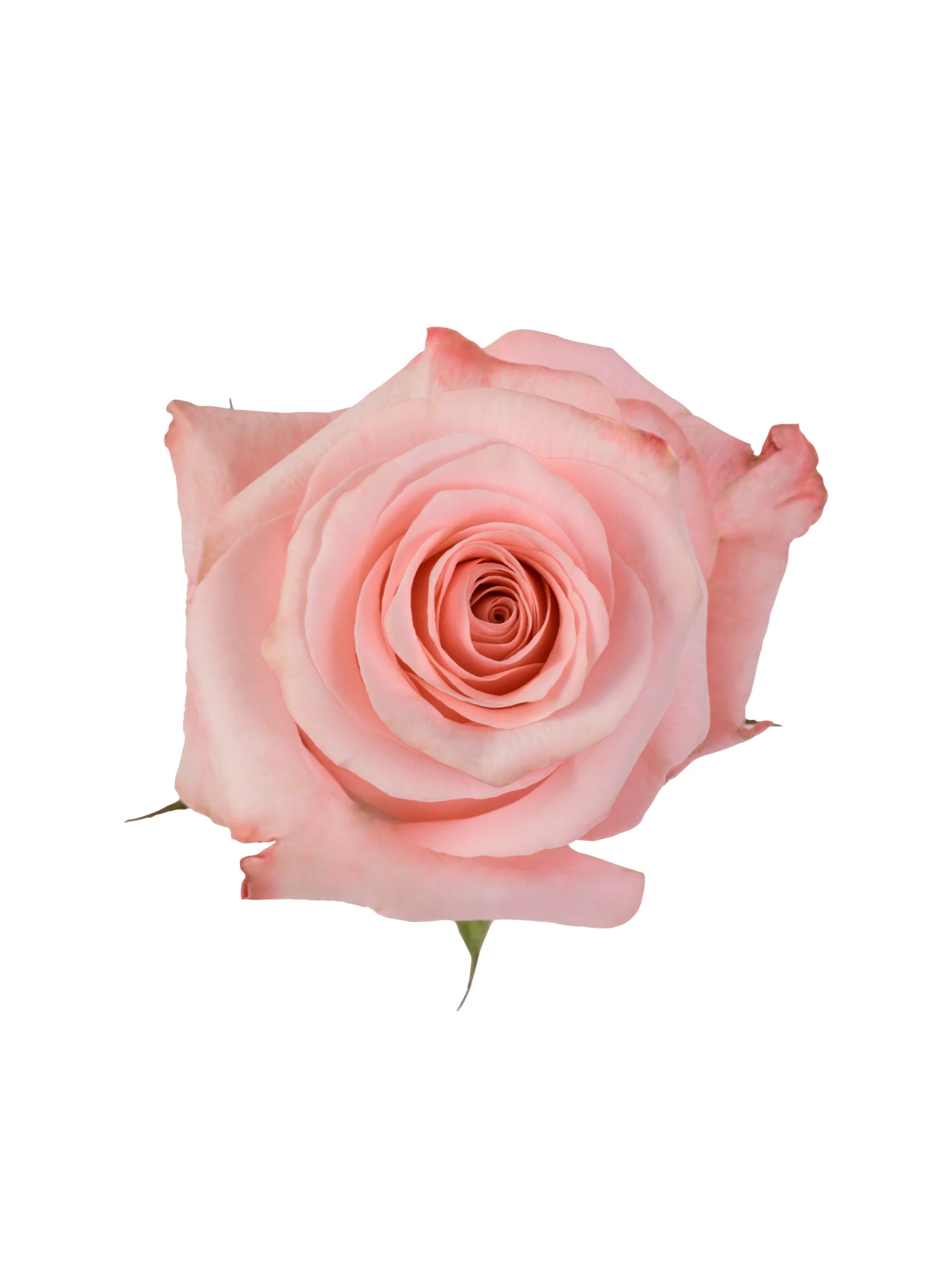 Be Sweet - Image 1