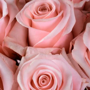 Be Sweet - Image 2