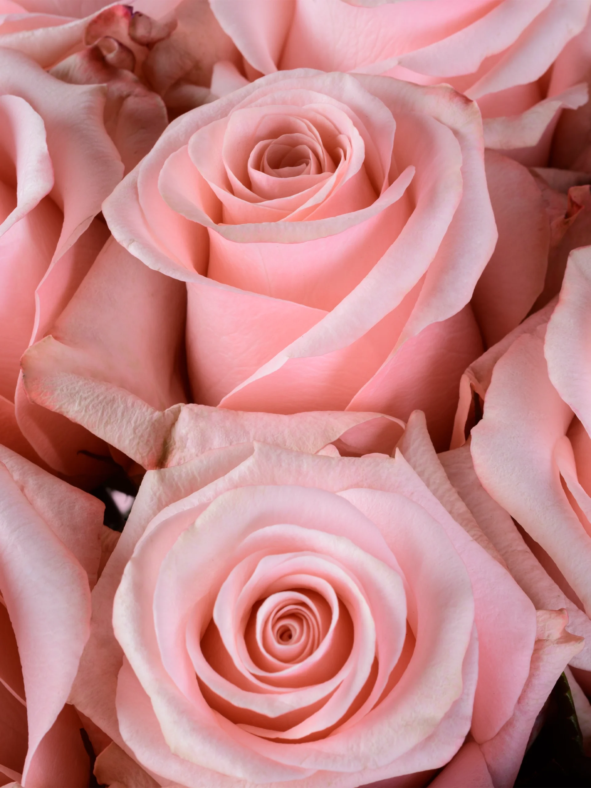 Be Sweet - Image 2