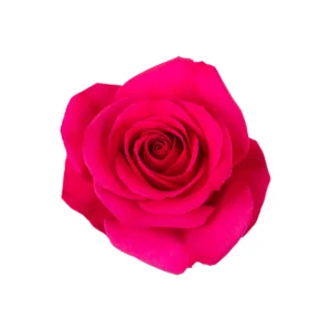 Gotcha - Image 1
