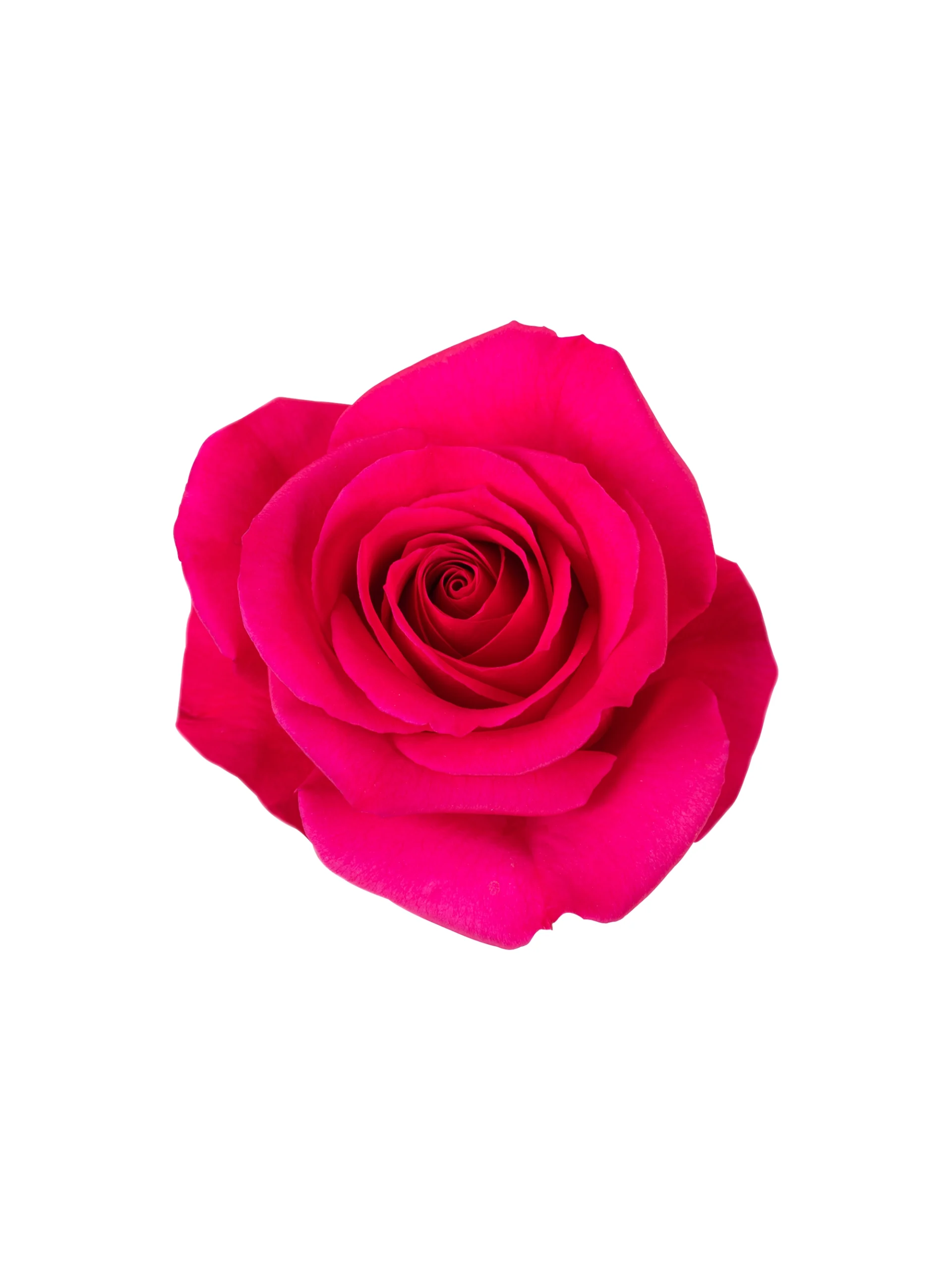 Gotcha - Image 1